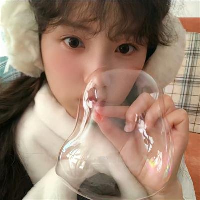 礼貌社会